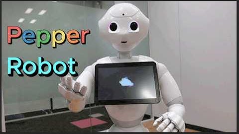 Meet Pepper, the Friendly Humanoid Robot, Can Pepper robot interact with people?
