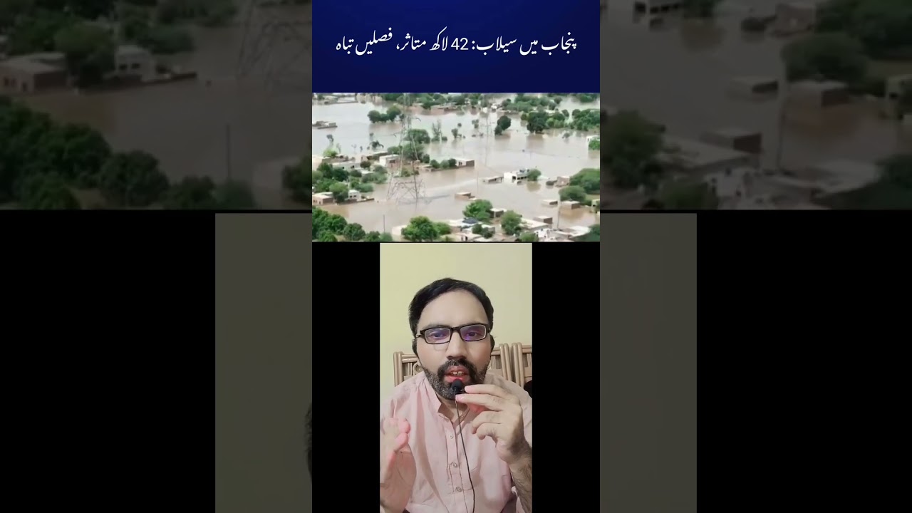 Punjab Floods: 4.2 Million Affected, Crops Destroyed**