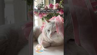 [MEOMEO AUDIO - FULL] Danh Phận Em Gái: Trò Chơi Của Kẻ Quyền Thế