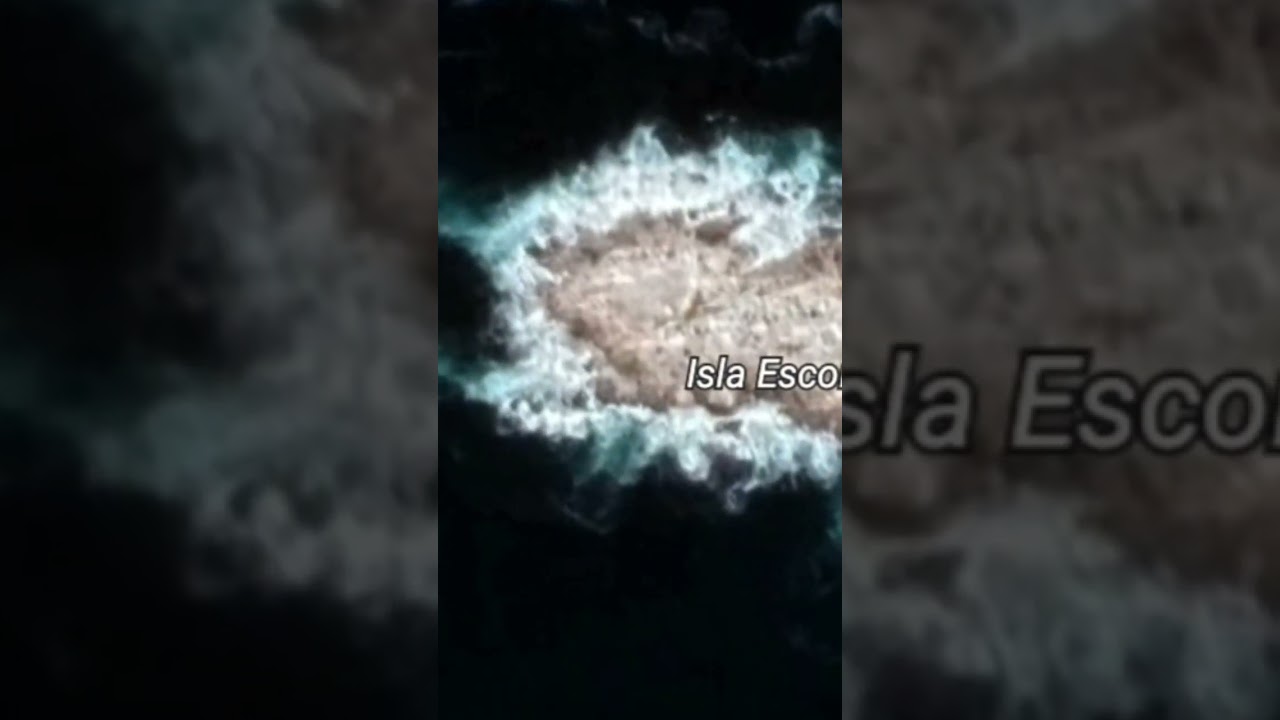 Eastern Argentina Isla Eacondida Island in Google Earth and Google Maps #100 #reels #viral #trending