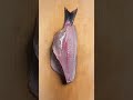 Can you name this fish?#JapaneseChef#asmr #sushichef #KnifeSkills#FoodArt