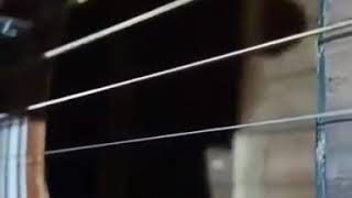 Download Lagu Belajar petikan gitar peterpan semua tentang kita MP3