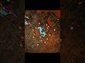 Cyrax Fatality On Dr. Manhattan #shorts #mk1 #gaming
