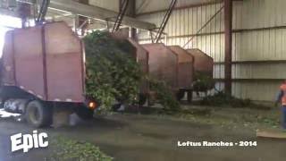 Epic Adventures - Citra Hop Harvest 2014 Continued