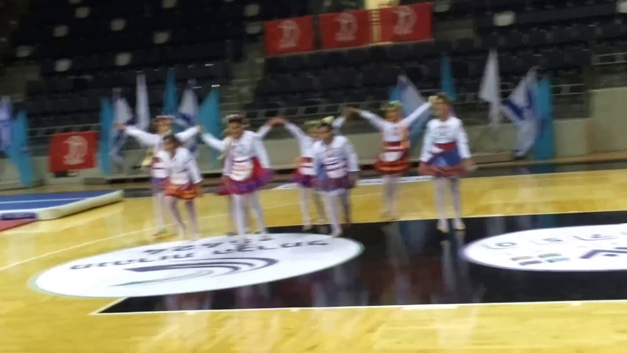 Ukrainian dance .Gimnastrada,Haifa-2014 .Dance group "SHAHRAZAD'.Сhoreographer Irina Jammal. Archive