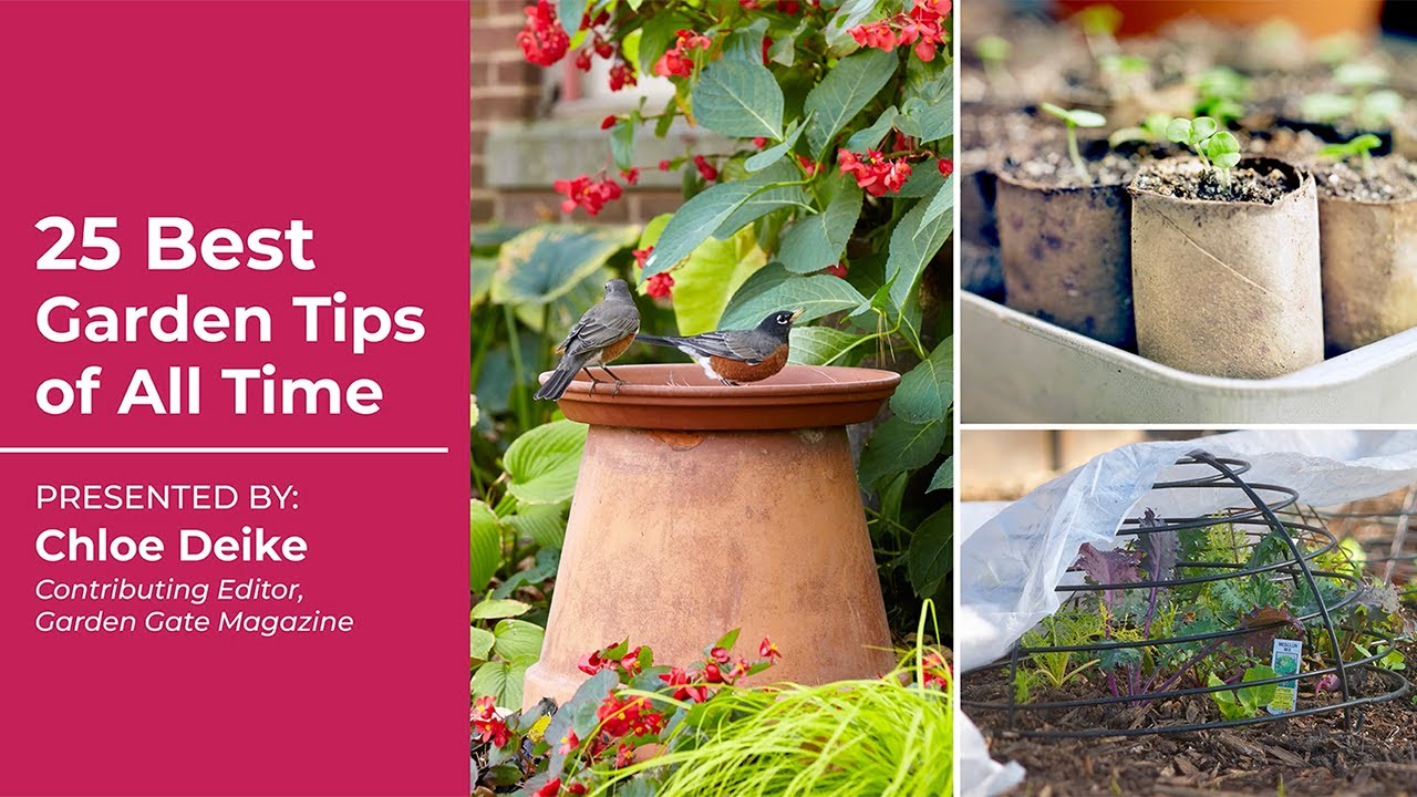 Easy Potting Bench Hack! ✨| Container Gardening Tip 