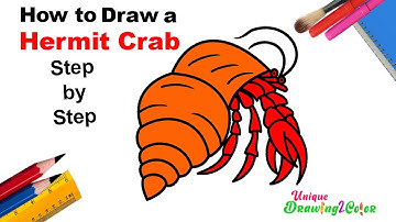 How to Draw a Hermit Crab (Step by Step Drawing Tutorial)