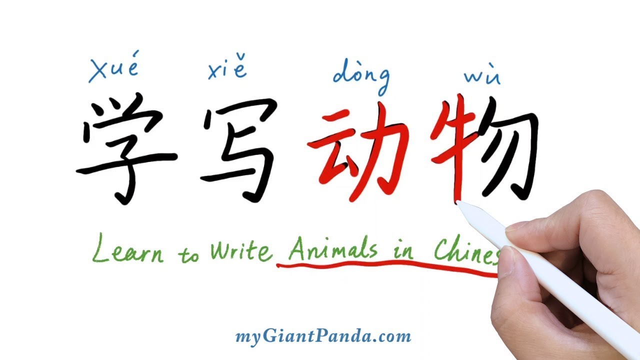 学写字【动物】🐺Write “Animals” in Chinese - Tiger老虎/Lion狮子/Wolf狼/Crocodile鳄鱼 ...