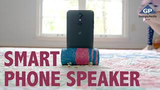 TP Crafts:  Repurposed Speaker | Georgia-Pacific