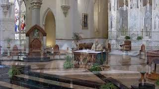Thursday of the Fifteenth Week in Ordinary Time
