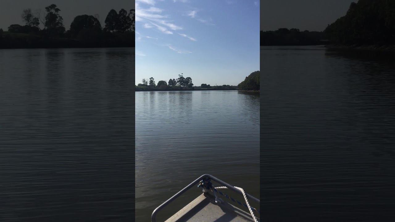 Tinny cruising down the Logan River