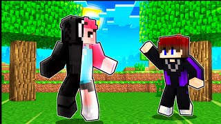 Wie Ich Zu Icrimax Wurde