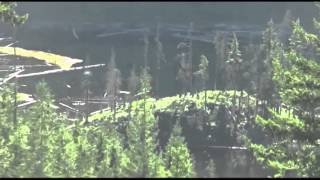 Sasquatch spotted in the remote mountains of Mission BC Breakdown