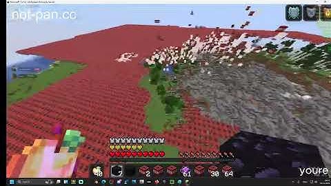 SPAWN GRIEF ON NEW ANERCHY