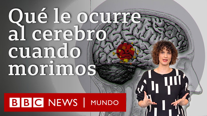 Qué pasa en el cerebro cuando estamos muriendo: lo que descubrió una neurocientífica de ese momento