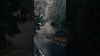 Awesome Weather 😍🌊 Rainy day in jungle forest #shorts #wallpaper #weather #view #day #night #like