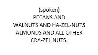 Fruitcake Lyric Video