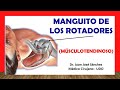 🥇 Anatomía del MANGUITO ROTADOR, Fácil y Rápida