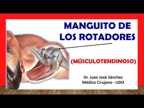 Vídeo: Anatomía Del Manguito Rotador: Músculos, Función E Imágenes