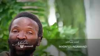 Ntshebemnandi - Inyon'edungamanzi Album Promo