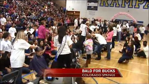 Bald for bucks
