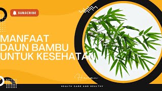 Manfaat daun bambu untuk menjaga kesehatan tubuh