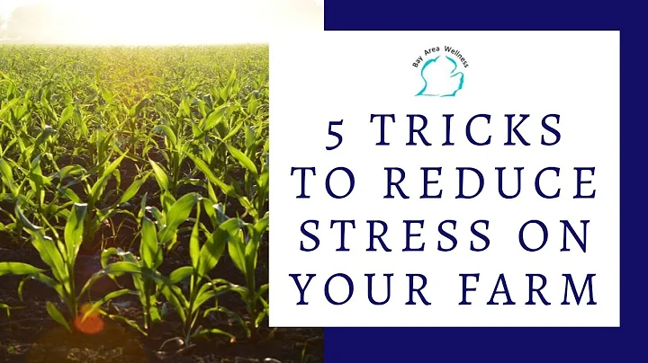 [Farm Stress] 5 Tricks to Manage Stress on Your Farm