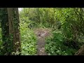 Higham Ferrers, Castles fields, short walk around the back woodland, 26/04/2026