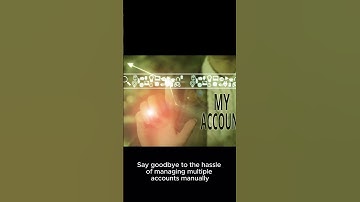 From Novice to Pro: Mastering Multi-Account Twitter with ClonBrowser