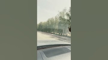 لا تنس سورة الكهف يوم الجمعة