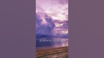 الشيخ #علي_جابر  | سورة #الشورى | الله لطيف بعباده يرزق من يشاء وهو القوى العزيز