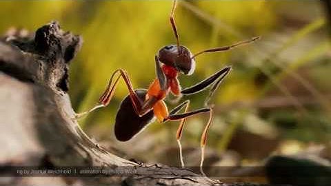 student demo reel 2018 - look dev lighting - Leon Berlis