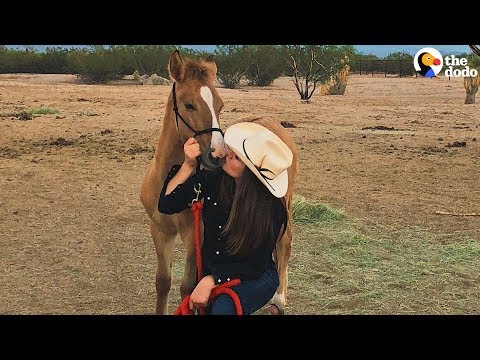 Baby Wild Horse Comes WAY Out Of Her Shell | The Dodo
