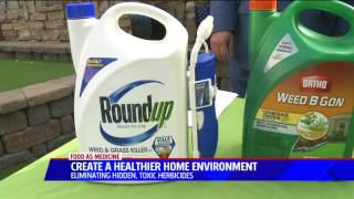 The Truth About GMOs and Glyphosate - 2 Year Study