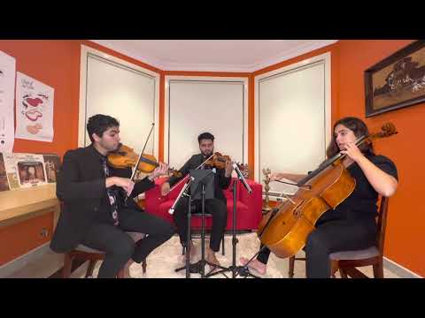 Hindi Songs Instrumental | Tum Hi Ho