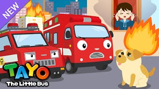 Download Lagu Tim Pemadam Kebakaran | RESCUE TAYO | Lagu Tim Penyelamat | Tayo Bahasa Indonesia | Tayo Bus Kecil MP3