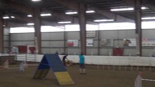 22 JUNO SAT STEEPLECHASE USDAA 6 14 14 37