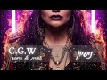 C.G.W - ניסיון