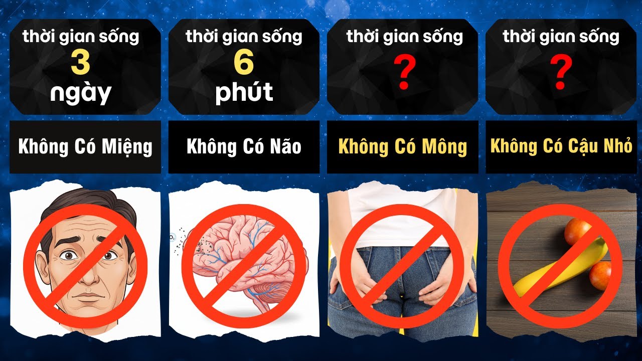 So Sánh: Nếu Mất Đi BỘ PHẬN CƠ THỂ Này, Bạn SỐNG SÓT Được Bao Lâu?