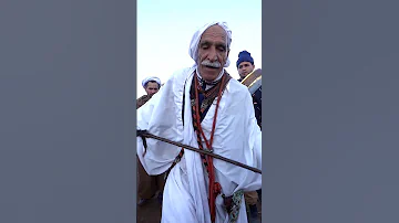 Danse Alaoui Cheikh Djilali رقص العلاوي بوفاطيس 