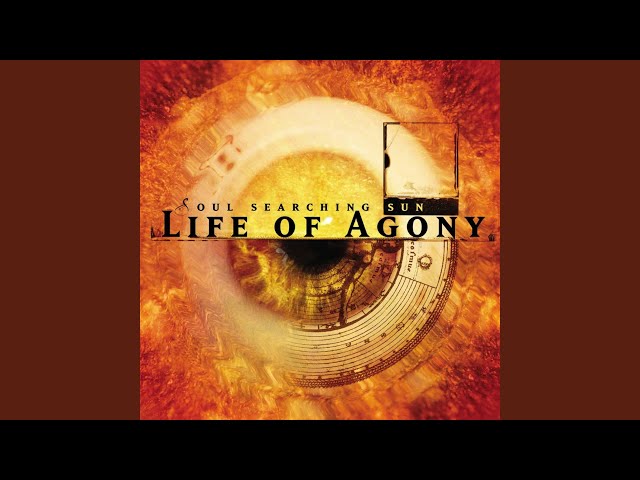 Life Of Agony - None