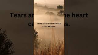 Tears are words the heart can't express - Emotional Quotes | Quote Vibes Tears are words the heart can't express - Emotional Quotes | Quote Vibes