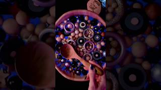 Wood Soup ASMR • Two Sleepy Versions with Rain & Thunder Ambient Background Sounds