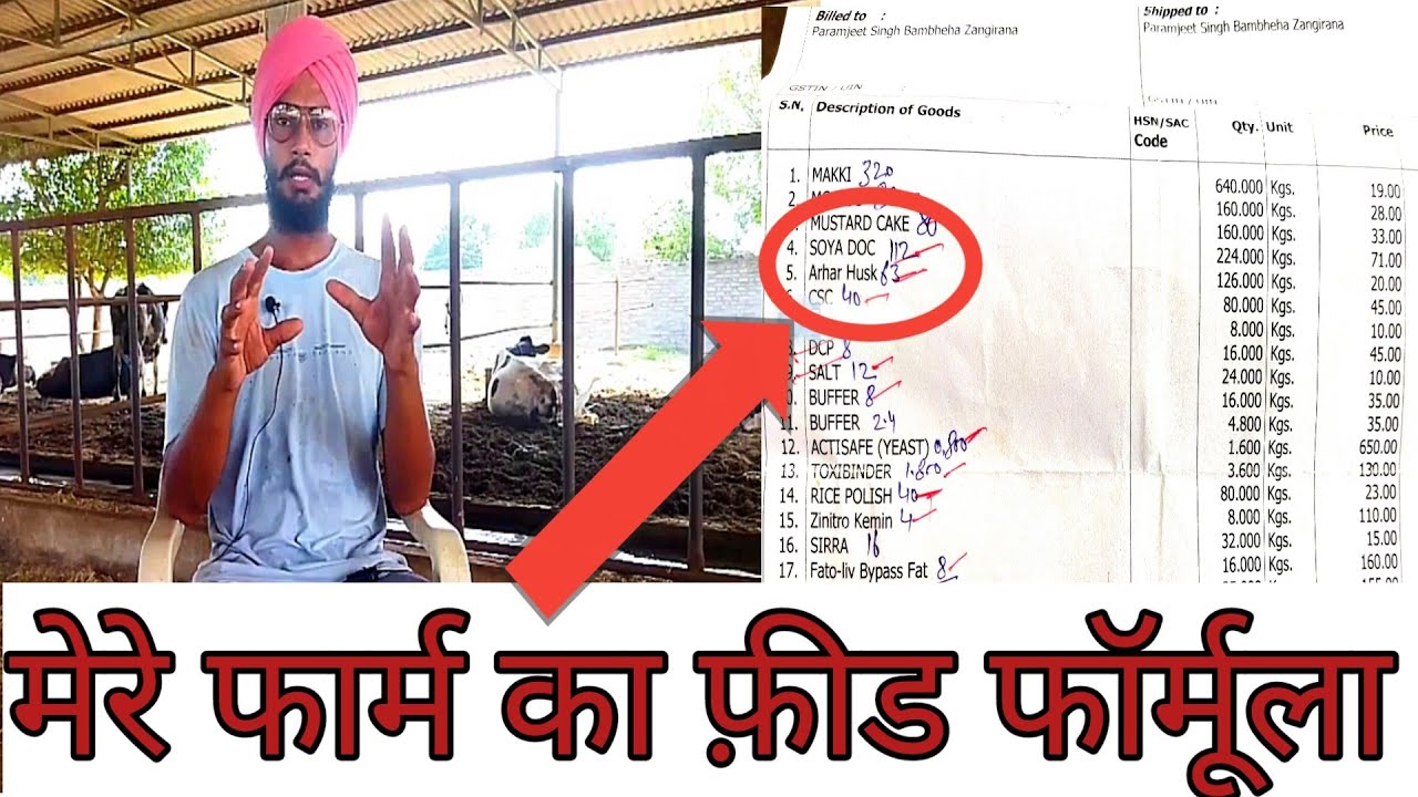 Feed formula for dairy cow। feed kaise banaye। best feed formula of my