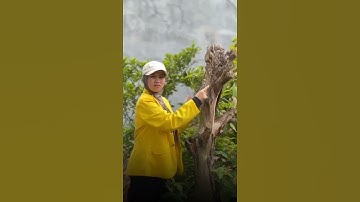 Tugas praktikum modul 1 kp2