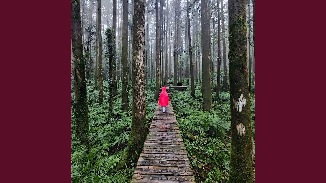 Watch KOMOREBIT (DAPPLED LIGHT) on YouTube Watch KOMOREBIT (DAPPLED LIGHT) on YouTube