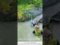 DIY Silt Pump for River Dredging – Clearing the Deep Mud 🌊🛠️