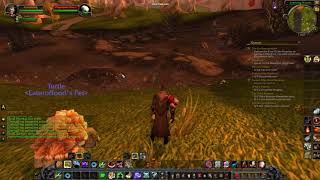 World of Warcraft How To See Your Targets Target