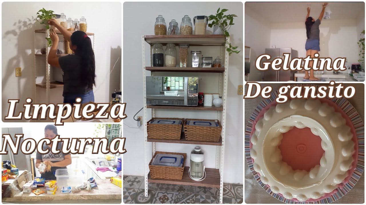 LIMPIEZA Nocturna ✨️hacemos GELATINA DE GANSITO 😍 Les cuento de mis PROXIMOS VIDEOS