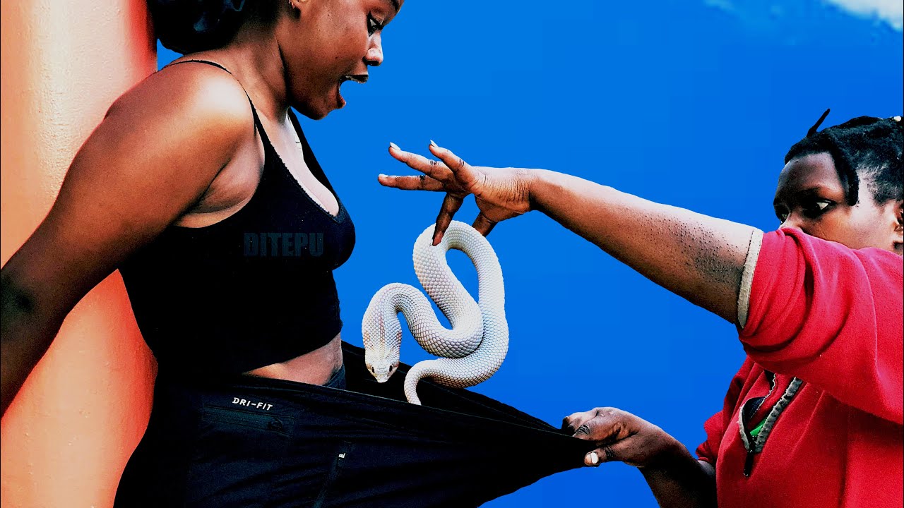 FREE MOVIES : Petty Thief | Free Movies On YouTube Full Movies | Movies Free Full Movies English